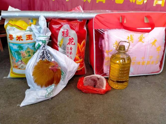 新春送暖记红十字暖春志愿者为困难家庭送年货活动